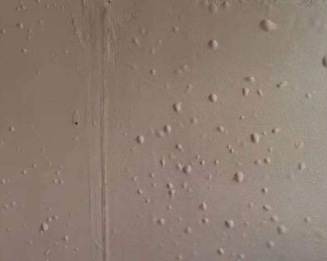 微信圖片_20240118094010