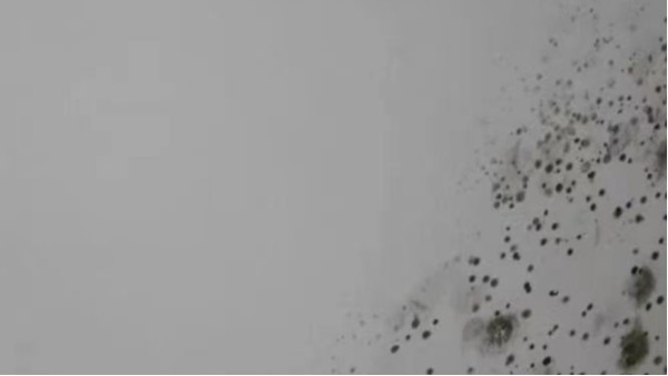 還在為墻體發(fā)霉而發(fā)愁？昆明涂料廠家教您學(xué)會(huì)這幾招，輕松解決！